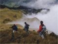 /album/fotogaleria-nosotros/a2-gif/